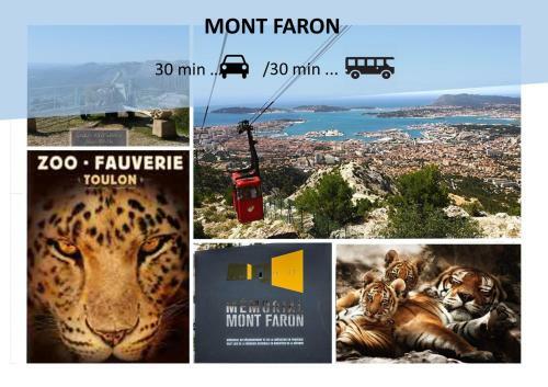 Apartamento To� Location Studio L�o Wifi Fibre Proche Centre