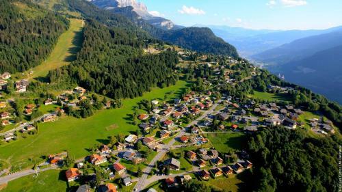 Apartamento Cl349 - Studio 4 Pers Centre Des Carroz