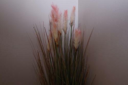 Hostal The Lavenders