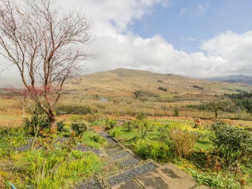 Snowdon Vista Cabin