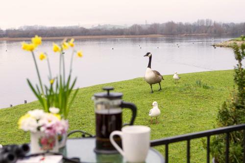 Keer Lodge - Pine Lake Resort