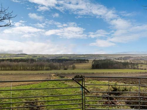 Wagtail Cottage - Uk33096