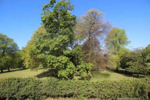 Apartamento 17g Regent Place