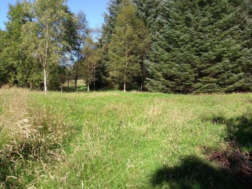 Arran New Luxury Lodge 15 Mins From The Beach