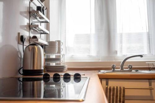 ? Quiet Ground Floor Apartment Near University ?