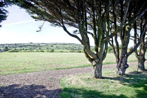 Wheal Jane, Wheal Dream Resort