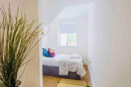Gorgeous Luxury Chalet, New Forest & Coast &