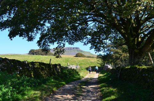 Lodge Ribblesdale Pods