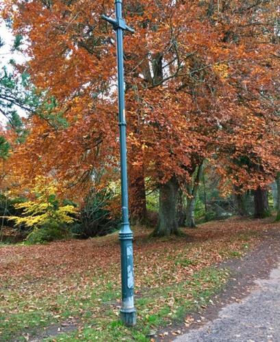 Wellingtonia Court Apartment