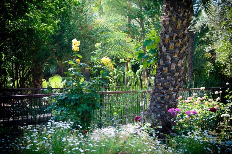 Bed & Breakfast Dar Ayniwen
