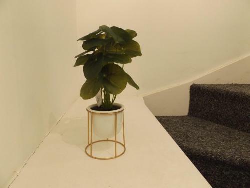 Leicester City House By Paym�n Club