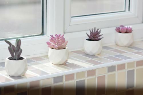 Brightleap Apartments - Hopton House
