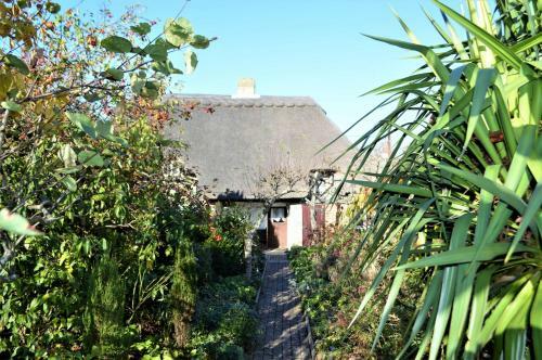 Ye Olde Cottage