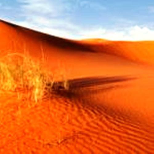 Bed & Breakfast Maison Merzouga Guest House