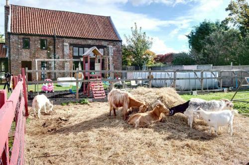 Agroturismo Willow Barn