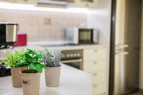 Apartamento Night Flower