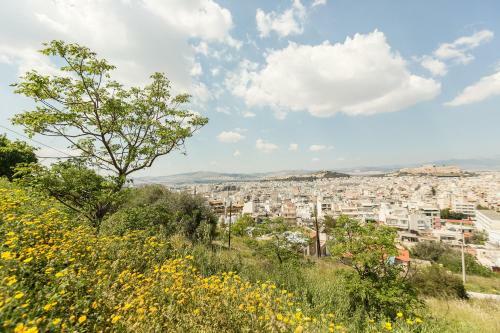 Apartamento Urban Cottage With Garden And Panoramic View
