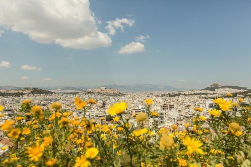 Apartamento Urban Cottage With Garden And Panoramic View