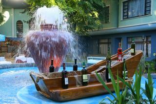 Hotel Drim