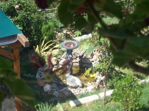 Apartamentos Vila Anastas