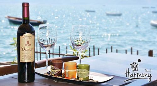 Hostal Villa Harmony