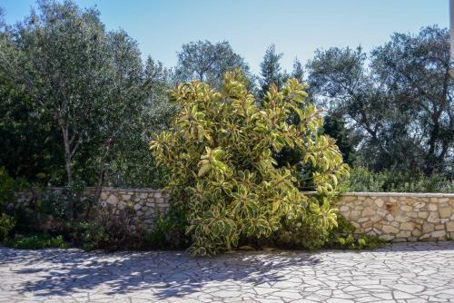 Ahai Paxos Villa