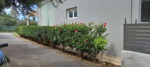 Beauty Philosophy Apart Near Beach