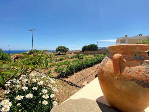 Apartamento Michail Suites Afiartis Karpathos