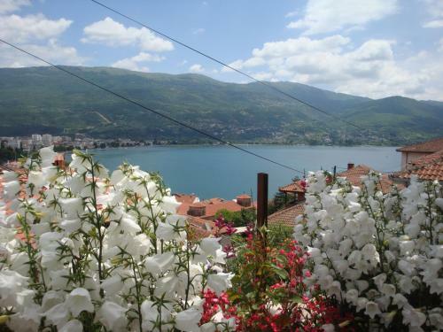 Bed & Breakfast Villa Saraj
