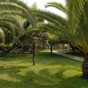 Hotel Marzi Beach And Bungalows