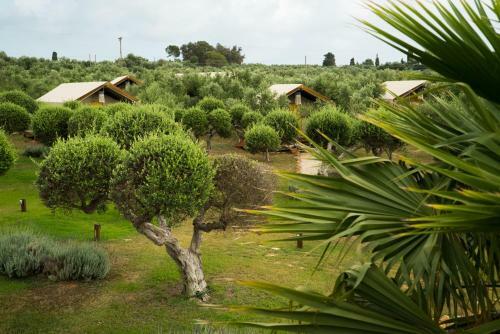 Apartamento Agrikies Country Retreat