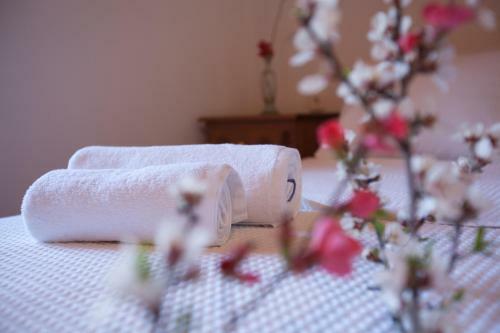 Evilion Escape Villa Pelion