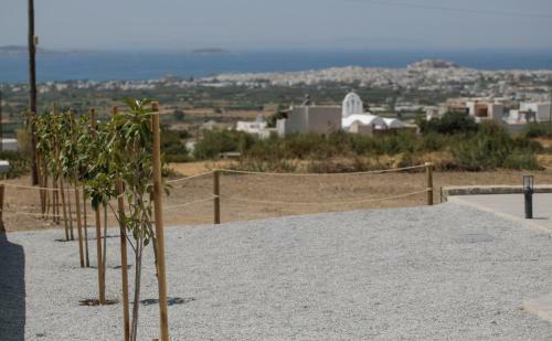 Naxos Infinity Villa And Suites