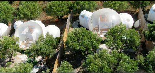 Bubble Suites