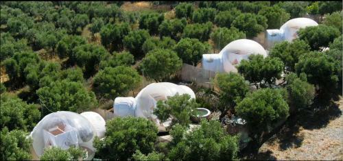 Bubble Suites