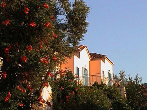 Scenic Apartment In Lesbos Island With Pool