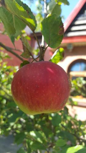 Hostal Pas Birute
