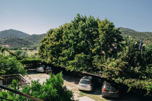 Hostal Katia Studios