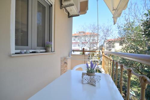 Apartamento Vila Elvina