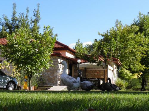 Apartamento Ninemia Stay And Play