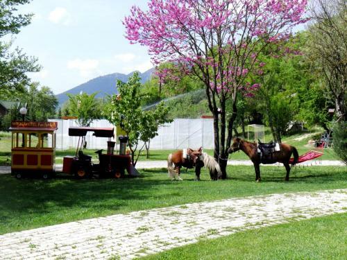 Apartamento Ninemia Stay And Play