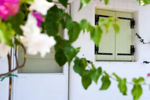 Apartamento Green Retreat Studios