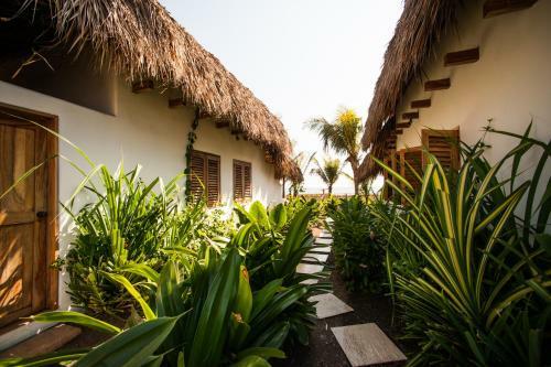 Hotel Paredon Surf House