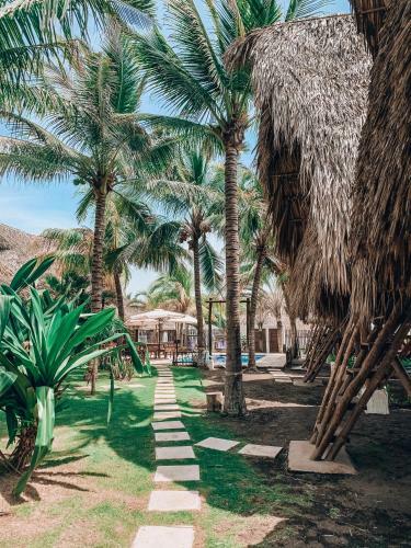 Hotel Paredon Surf House