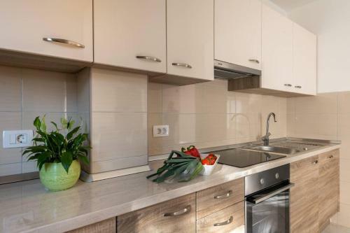 Apartamento Magnolia Vinez