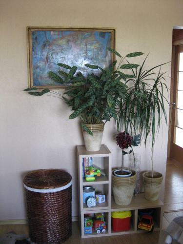 Bultu Apartaments