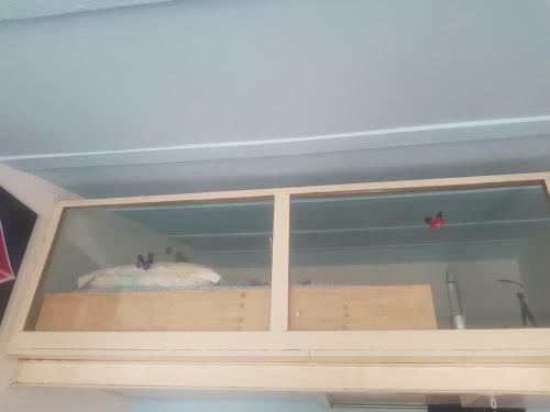 Lovely 2-bed House In Klarici