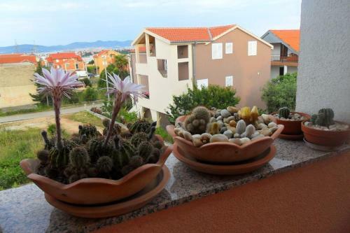 Apartments Marinka-with Backyard