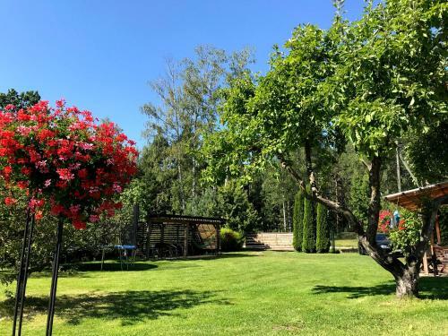 Hostal Beltes Street Guest House