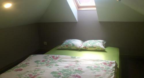 Hostal Beltes Street Guest House
